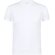 Camiseta Adulto Blanca Original T