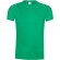 Camiseta Adulto Color Original T verde