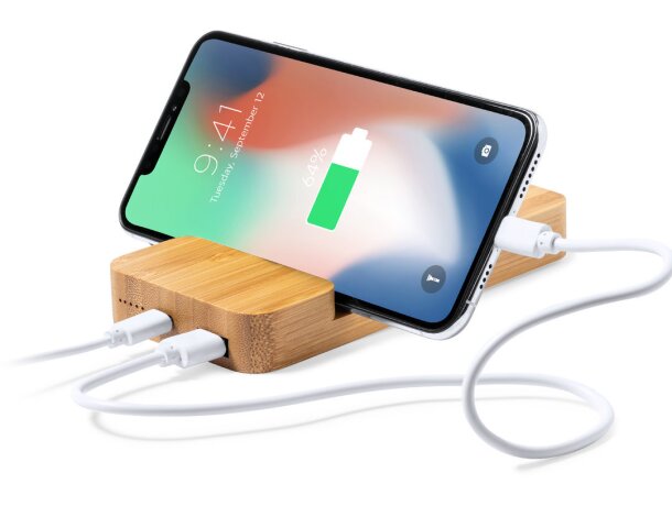 Power Bank Dralia